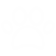 Diritto degli Animali