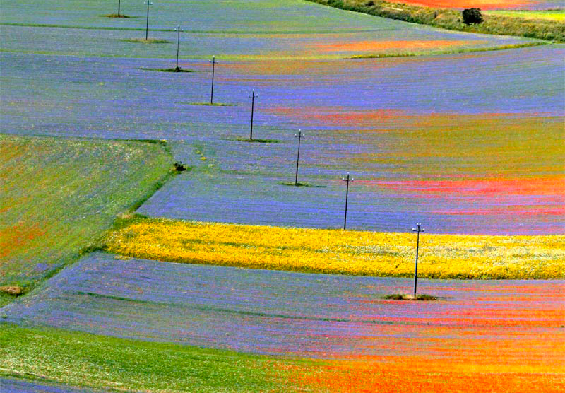 diritto agrario